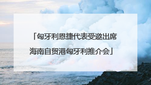 匈牙利恩捷代表受邀出席海南自贸港匈牙利推介会