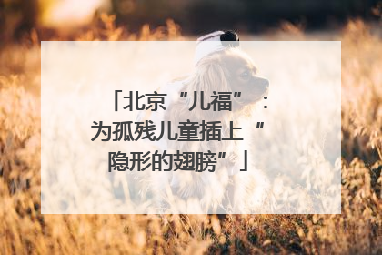 北京“儿福”：为孤残儿童插上“隐形的翅膀”