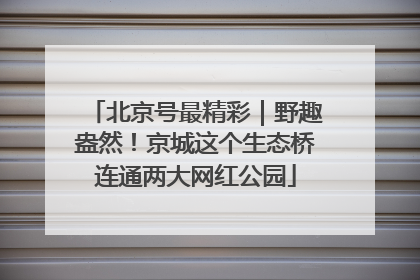 北京号最精彩｜野趣盎然！京城这个生态桥连通两大网红公园
