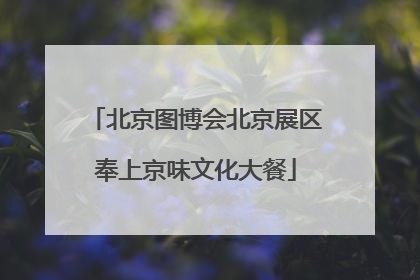 北京图博会北京展区奉上京味文化大餐