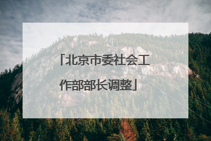 北京市委社会工作部部长调整