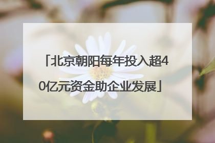 北京朝阳每年投入超40亿元资金助企业发展
