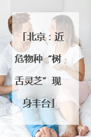 北京：近危物种“树舌灵芝”现身丰台