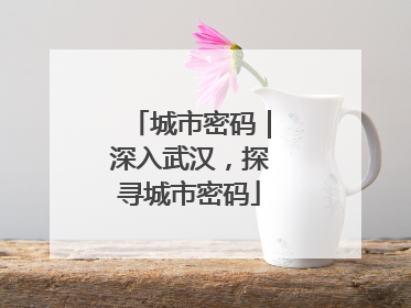 城市密码｜深入武汉，探寻城市密码