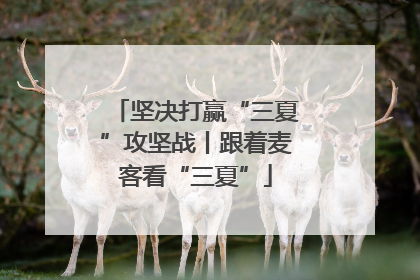 坚决打赢“三夏”攻坚战丨跟着麦客看“三夏”