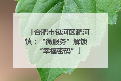 合肥市包河区淝河镇：“微服务”解锁“幸福密码”