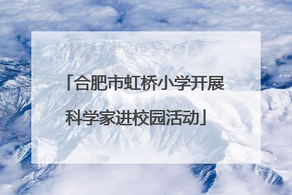 合肥市虹桥小学开展科学家进校园活动