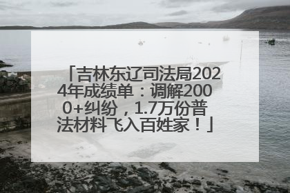 吉林东辽司法局2024年成绩单：调解2000+纠纷，1.7万份普法材料飞入百姓家！