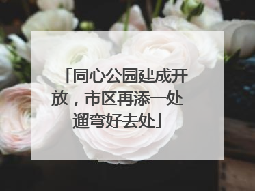 同心公园建成开放，市区再添一处遛弯好去处