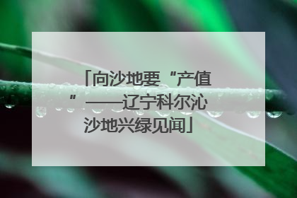 向沙地要“产值”——辽宁科尔沁沙地兴绿见闻