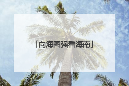 向海图强看海南