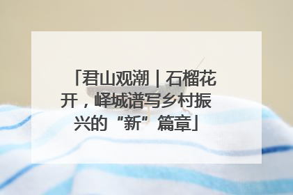 君山观潮｜石榴花开，峄城谱写乡村振兴的“新”篇章