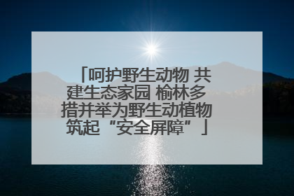 呵护野生动物 共建生态家园 榆林多措并举为野生动植物筑起“安全屏障”