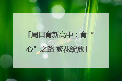 周口育新高中：育“心”之路 繁花绽放
