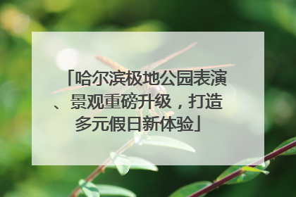 哈尔滨极地公园表演、景观重磅升级，打造多元假日新体验