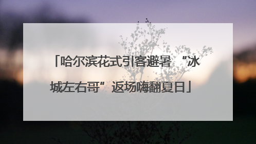 哈尔滨花式引客避暑 “冰城左右哥”返场嗨翻夏日