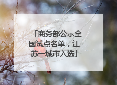 商务部公示全国试点名单，江苏一城市入选