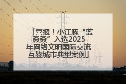 喜报！小江豚“蓝叒叒”入选2025年网络文明国际交流互鉴城市典型案例
