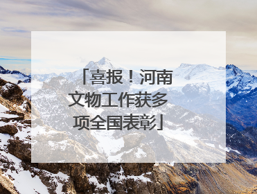 喜报！河南文物工作获多项全国表彰