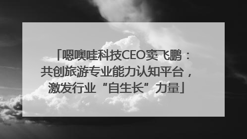 嗯噢哇科技CEO窦飞鹏：共创旅游专业能力认知平台，激发行业“自生长”力量