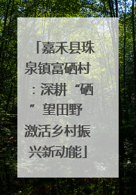 嘉禾县珠泉镇富硒村：深耕“硒”望田野 激活乡村振兴新动能