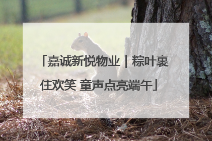 嘉诚新悦物业｜粽叶裹住欢笑 童声点亮端午