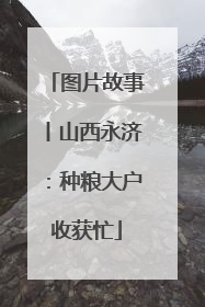 图片故事丨山西永济：种粮大户收获忙