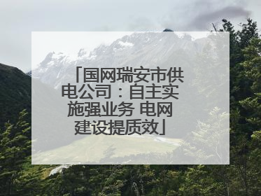 国网瑞安市供电公司：自主实施强业务 电网建设提质效