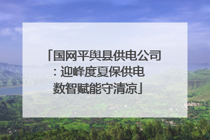 国网平舆县供电公司：迎峰度夏保供电  数智赋能守清凉