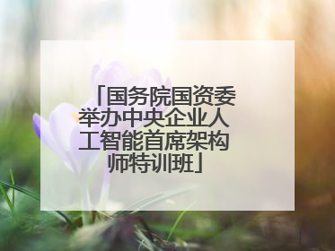 国务院国资委举办中央企业人工智能首席架构师特训班
