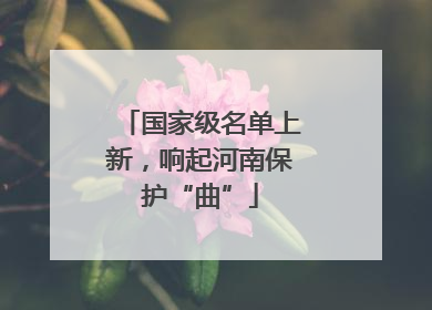 国家级名单上新，响起河南保护“曲”