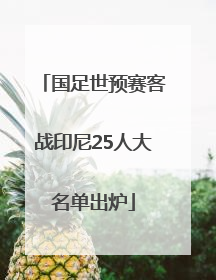 国足世预赛客战印尼25人大名单出炉