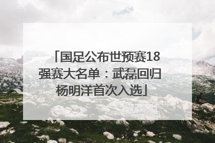 国足公布世预赛18强赛大名单：武磊回归 杨明洋首次入选