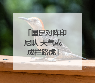 国足对阵印尼队 天气或成拦路虎