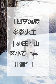 四季流转 多彩枣庄｜枣庄：山区小麦“喜开镰”