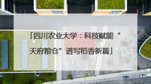 四川农业大学：科技赋能“天府粮仓”谱写稻香新篇
