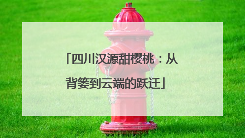 四川汉源甜樱桃：从背篓到云端的跃迁