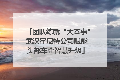 团队练就“大本事” 武汉霍尼特公司赋能头部车企智慧升级