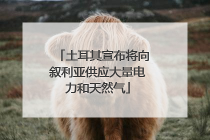 土耳其宣布将向叙利亚供应大量电力和天然气
