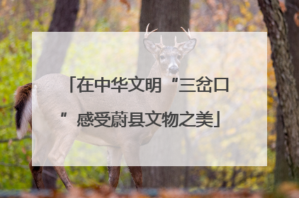 在中华文明“三岔口”感受蔚县文物之美