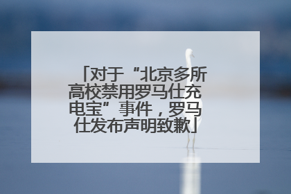 对于“北京多所高校禁用罗马仕充电宝”事件，罗马仕发布声明致歉
