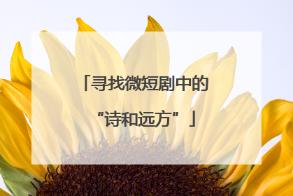 寻找微短剧中的“诗和远方”