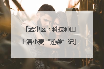 孟津区：科技种田 上演小麦“逆袭”记