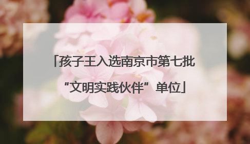 孩子王入选南京市第七批“文明实践伙伴”单位