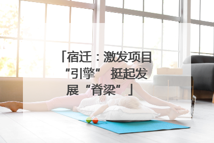 宿迁：激发项目“引擎” 挺起发展“脊梁”