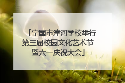 宁国市津河学校举行第三届校园文化艺术节暨六一庆祝大会