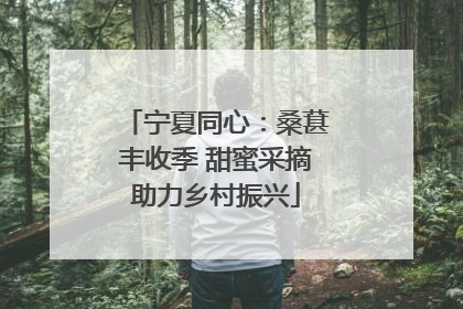 宁夏同心：桑葚丰收季 甜蜜采摘助力乡村振兴