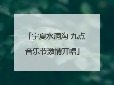 宁夏水洞沟 九点音乐节激情开唱