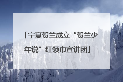 宁夏贺兰成立“贺兰少年说”红领巾宣讲团