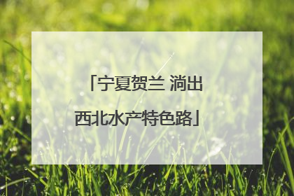 宁夏贺兰 淌出西北水产特色路